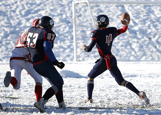 帕奎塔被警告但避免因异议而被延长禁赛——球场风波背后的故事