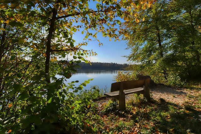 篮球篮网球迷热议球队表现