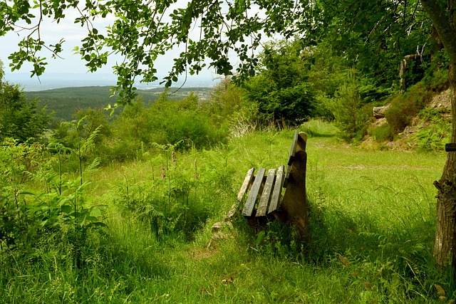 足球比赛中如何保持体能？