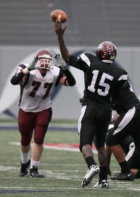 承载地方文 承载地方文