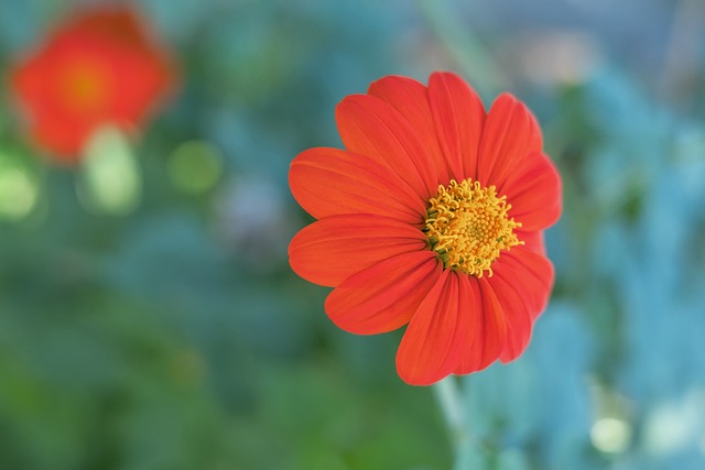 他的节奏 他的节奏