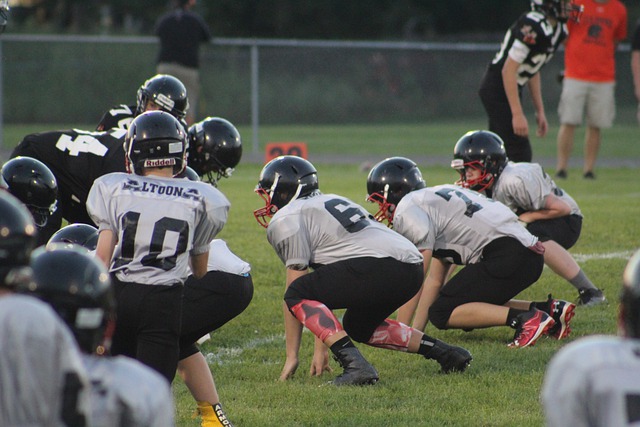 詹姆斯称赞 詹姆斯称赞