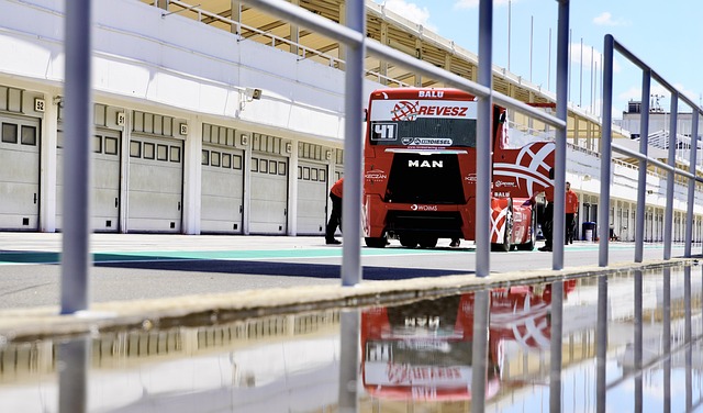 球隊的四名 球隊的四名