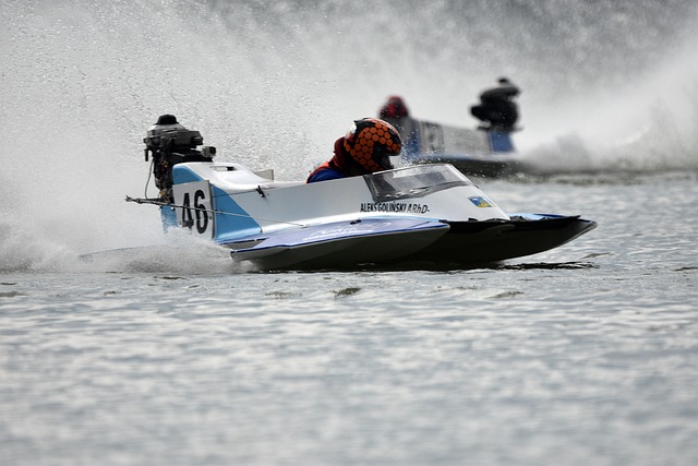 不仅展示了 不仅展示了